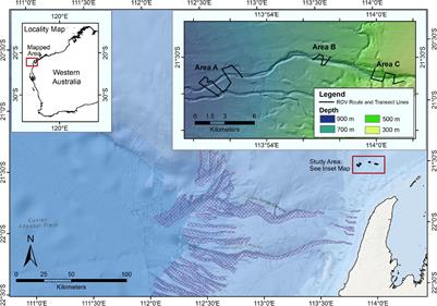 Quantifying Patterns in Fish Assemblages and Habitat Use Along a Deep Submarine Canyon-Valley Feature Using a Remotely Operated Vehicle